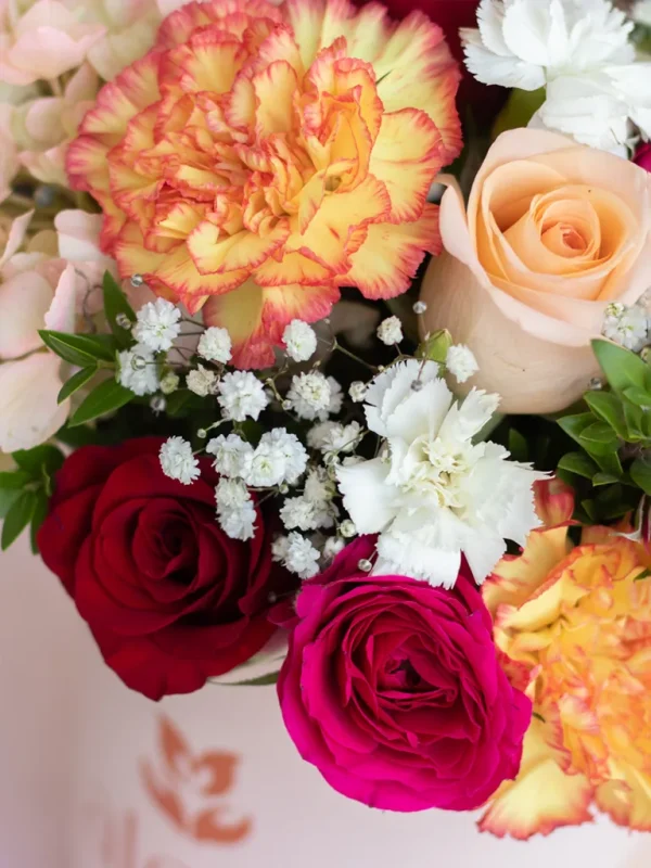 flores en colores variados de cerca