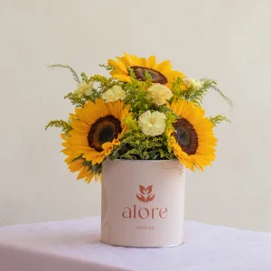 Girasoles y claveles amarillos con solidago en caja Alore