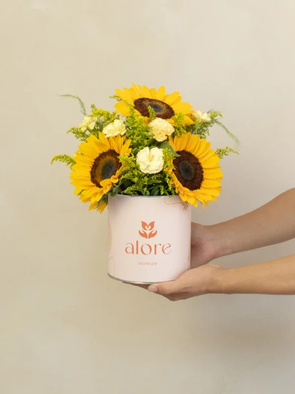 manos soteniendo una caja con 5 girasoles de vivero