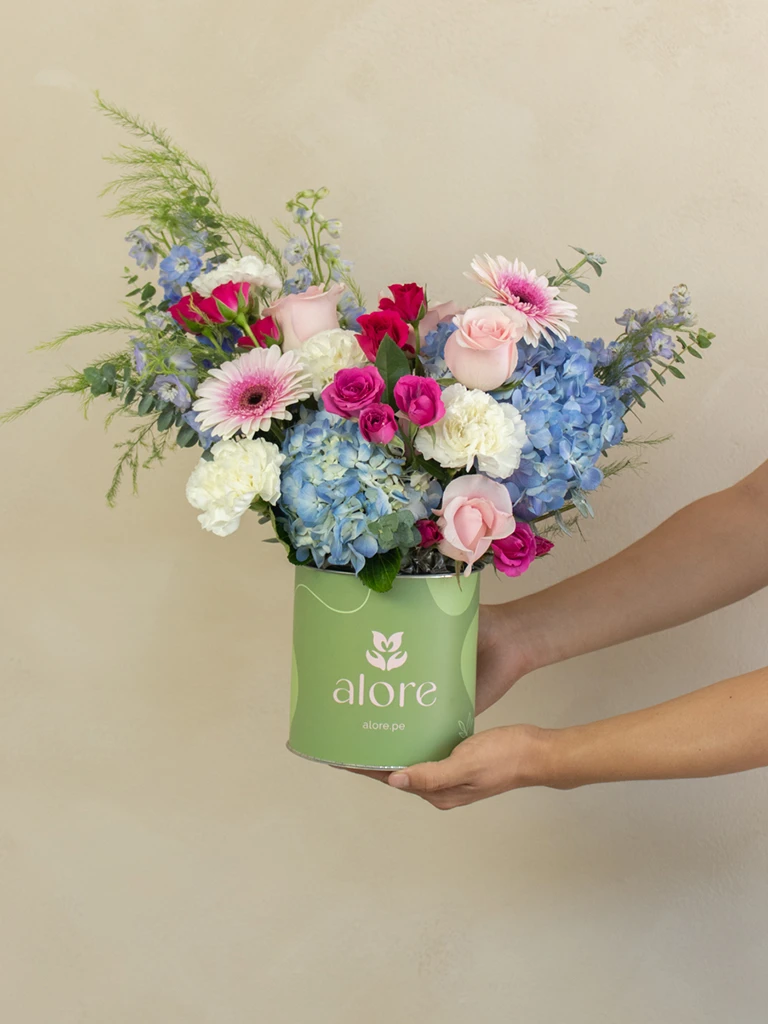 Caja verde Alore con hortensias azules, gerberas rosadas y rosas sostenida en la mano