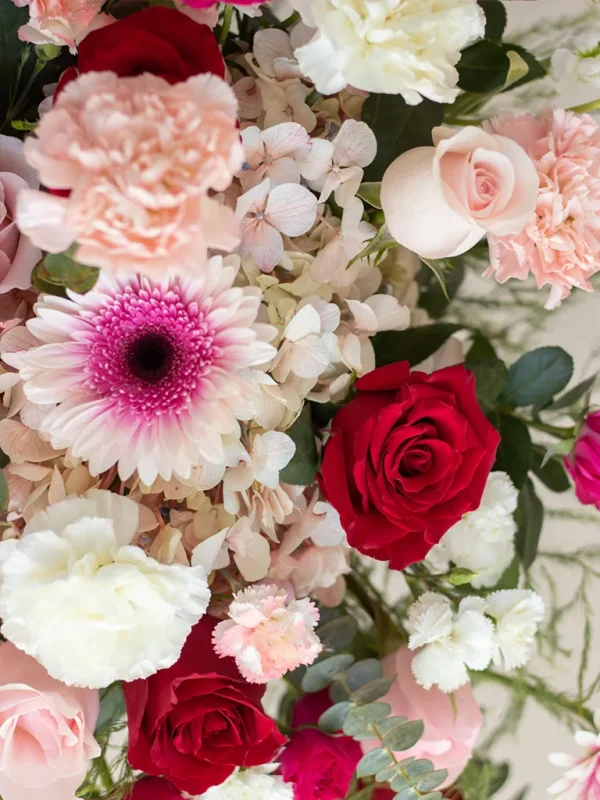 gerberas_claveles_y_rosas_alore flores variadas , gerberas y rosas