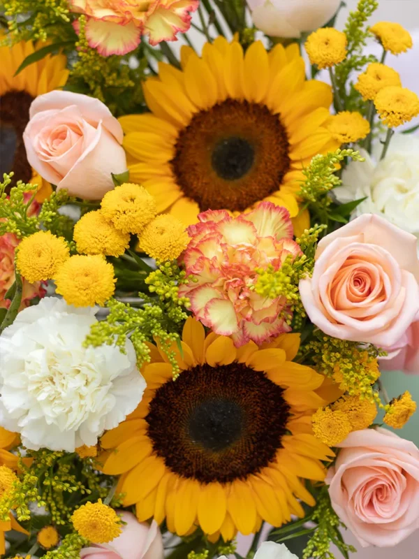 Girasoles de vivero y rosas melón