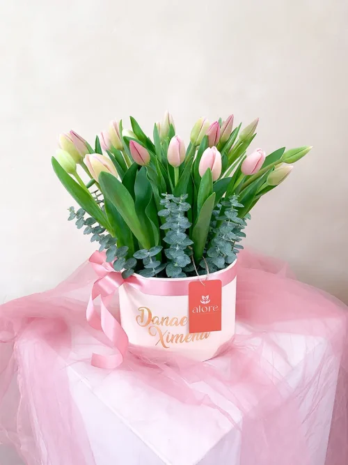 caja de 30 tulipanes caja de 30 tulipanes variados