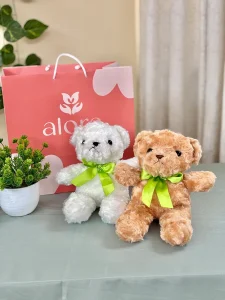 Oso Teddy 30 CM
