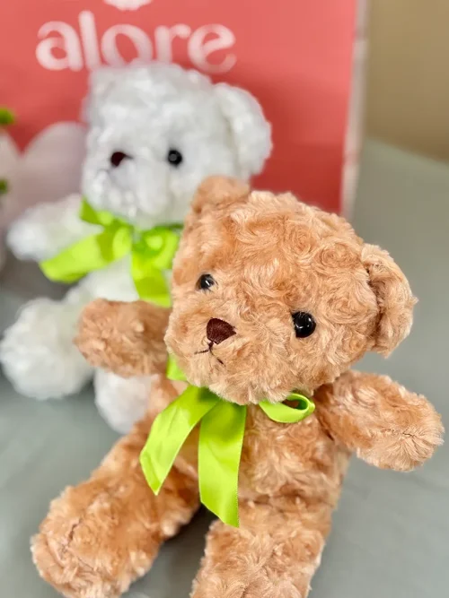 peluche de ositos peluche de ositos