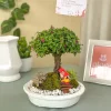 arbol de la felicidad