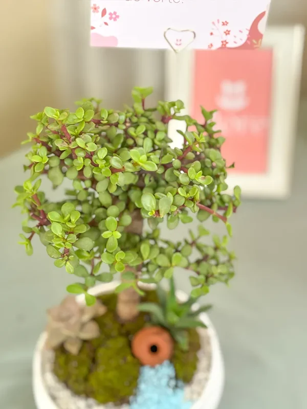 arbol de la felicidad de cerca