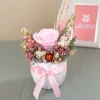 maceta con rosa preservada rosada