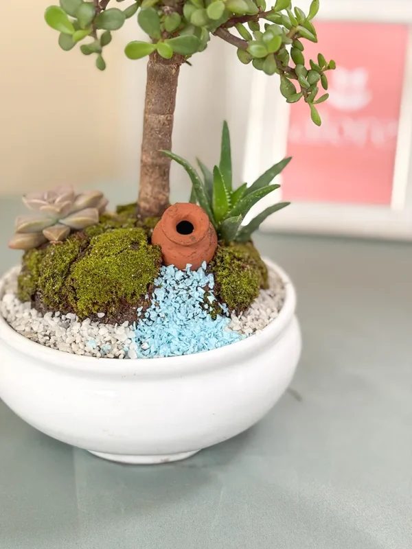 maceta decorativa con piedritas