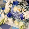 rosas azules y blancas premium