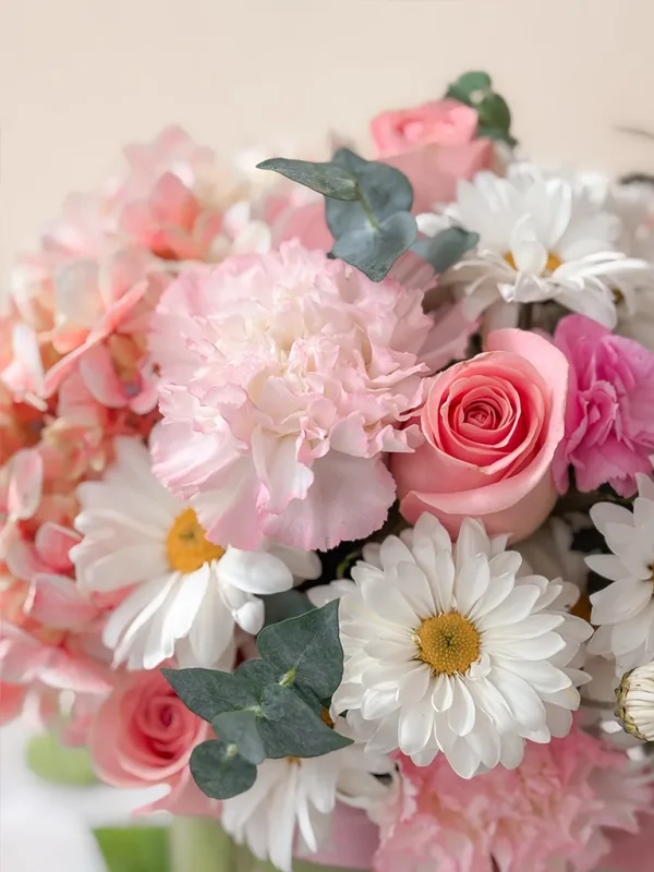 clavel rosado importado clavel rosado importado