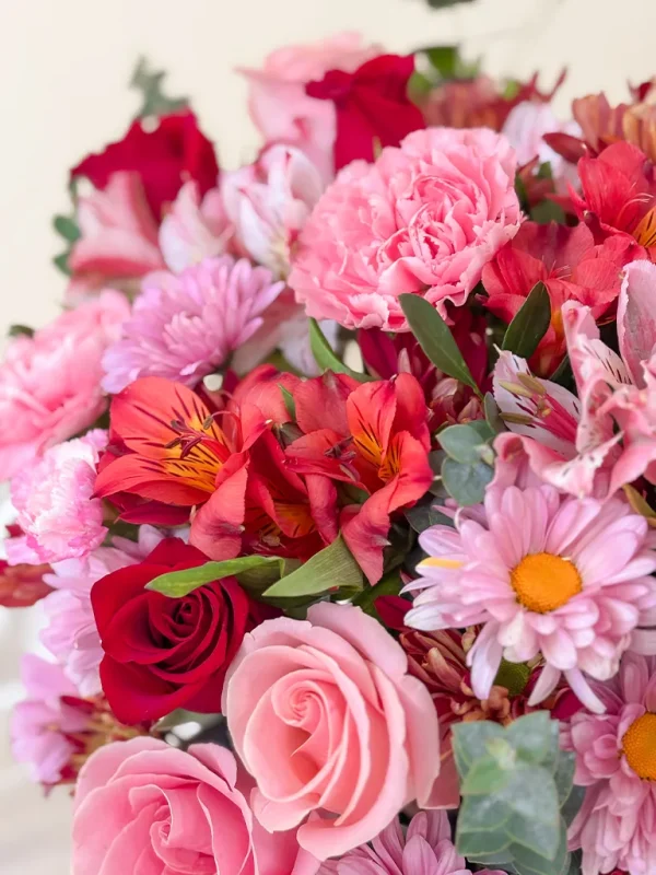 astromelias y claveles importados astromelias y claveles importados