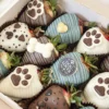 chocofresas para el papa perruno