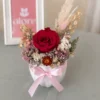 maceta con rosa roja preservada maceta con rosa roja preservada