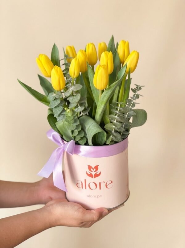 Tulipanes amarillos con eucalipto en caja redonda rosada Alore